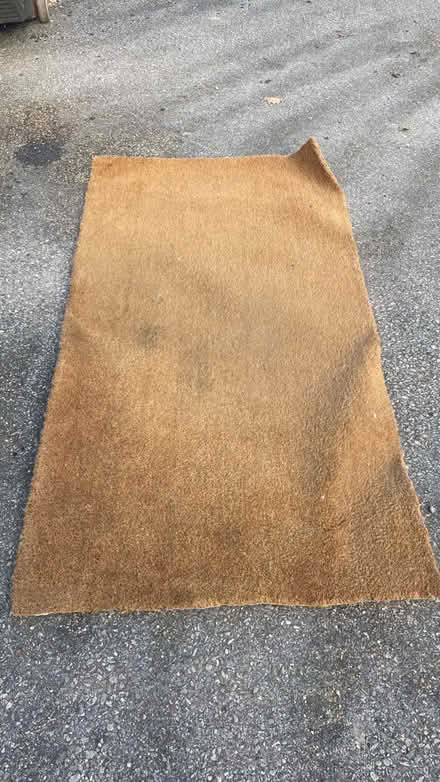Photo of free Horse Hair Mat (Bramshaw SO43) #1