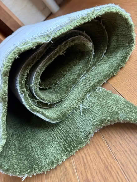 Photo of free Satara carpet in Moss (Newington Green N16) #4