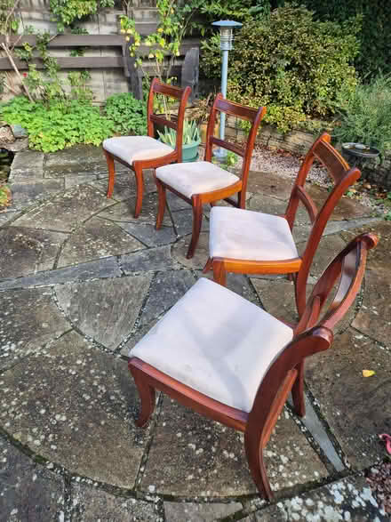 Photo of free Set of four dining chairs (Roffey RH12) #3