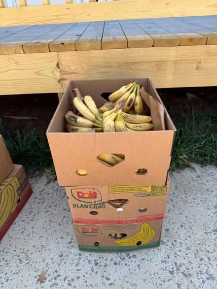 Photo of free Banana’s Ready to bake and blend (13100 waters Landing Dr,) #1