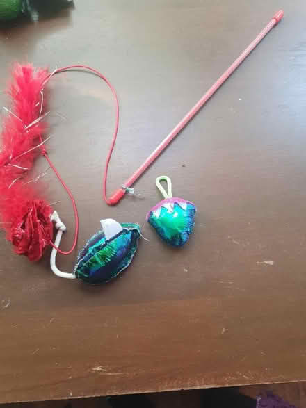 Photo of free Cat toys (Moseley B13) #1