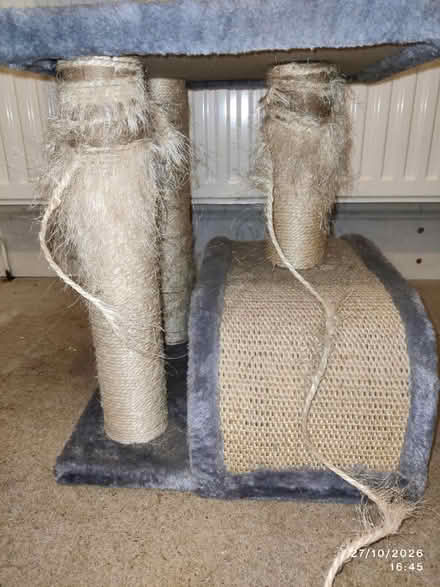 Photo of free Cat Tree (WA13DD) (Warrington) #3