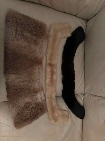 Photo of free bits of fur (Hala LA1) #2