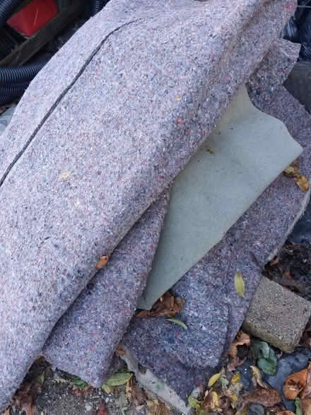 Photo of free Carpet and underlay bundle (Wimborne,Colehill) #1