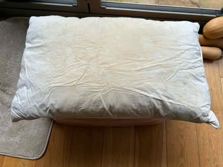 Photo of free 3 x feather pillows (Shepherds Bush W6) #2