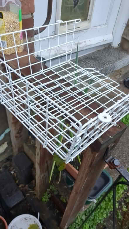 Photo of free Pet proof letter catcher (Nottingham NG5) #2
