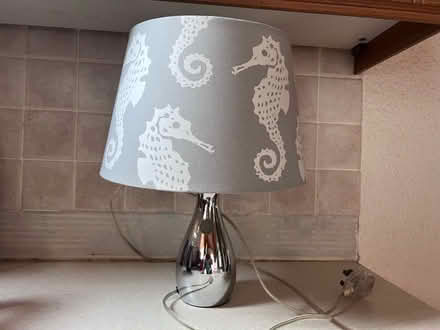 Photo of free Lamp and shade (Eastbourne BN21) #1
