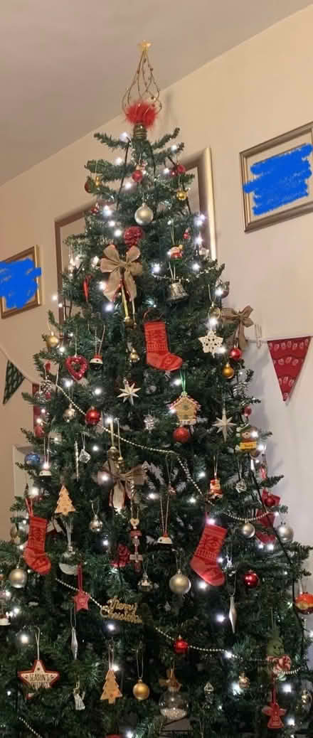 Photo of free Christmas tree approx 6ft (Chelmsford CM1) #1
