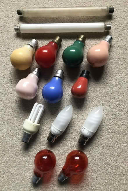 Photo of free Selection of used bulbs (Marton) #1