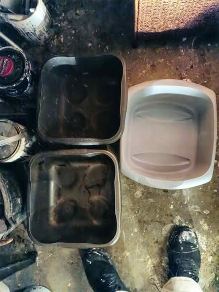 Photo of free Three washing up bowls (Great Baddow CM2) #1