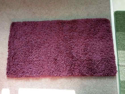 Photo of free Rug (Barnard's Green WR14) #1