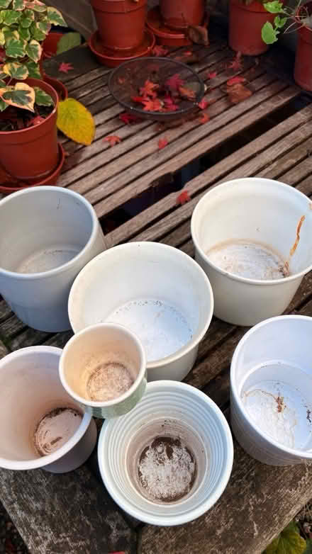 Photo of free Indoor Plant Pots (Potters Bar, EN6) #2