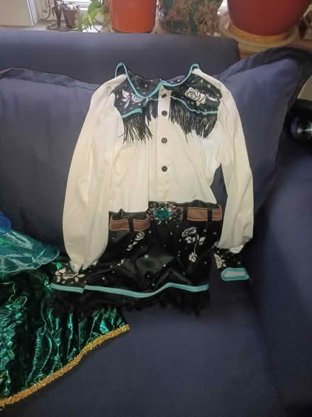 Photo of free Halloween costumes (South ozone pk, queens) #3