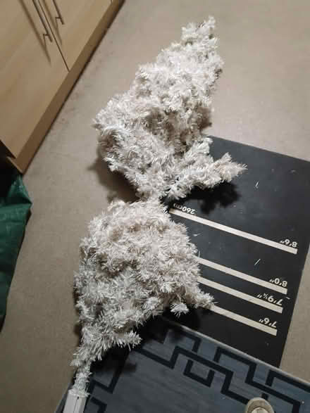 Photo of free Christmas tree π (Knucklas LD7) #1