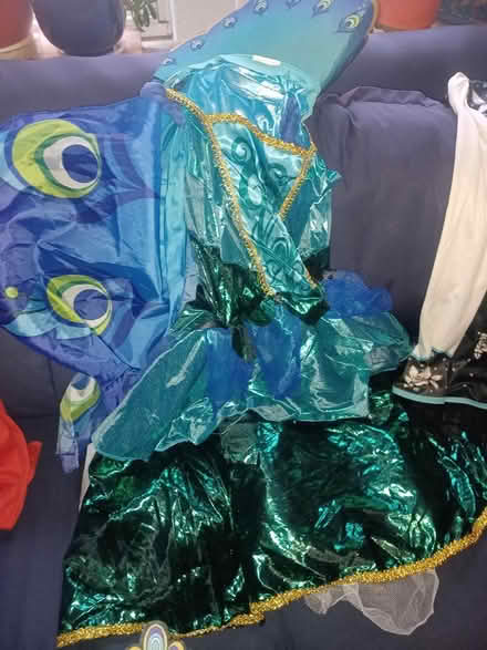 Photo of free Halloween costumes (South ozone pk, queens) #2