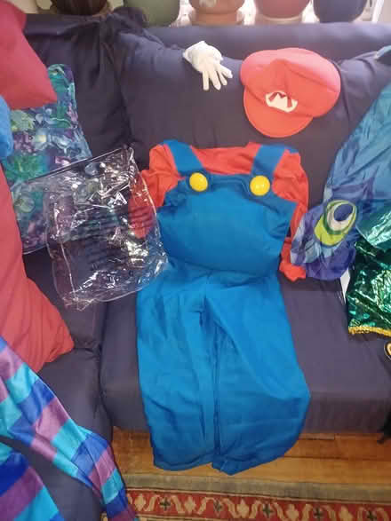 Photo of free Halloween costumes (South ozone pk, queens) #1