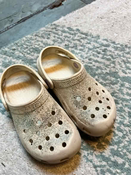 Photo of free Crocs kids sz 10 (Olympia high school) #1