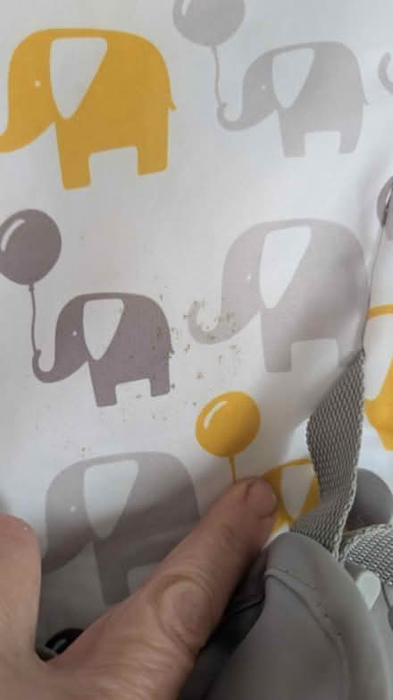 Photo of free Baby bouncer (Harrold Bedford) #2