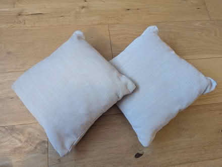 Photo of free Two small cushions (Battle RG30) #1