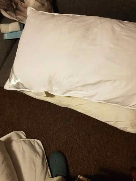 Photo of free Double duvet & 2 pillows (Northallerton DL7 8TU) #1