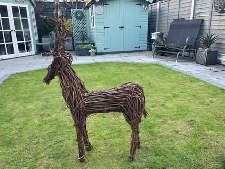 Photo of free Reindeer (Hoddesdon EN11) #2