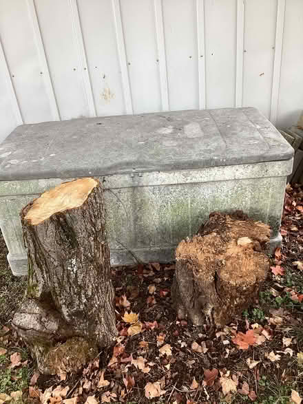 Photo of free Firewood (Allen Pond area of Bowie) #2