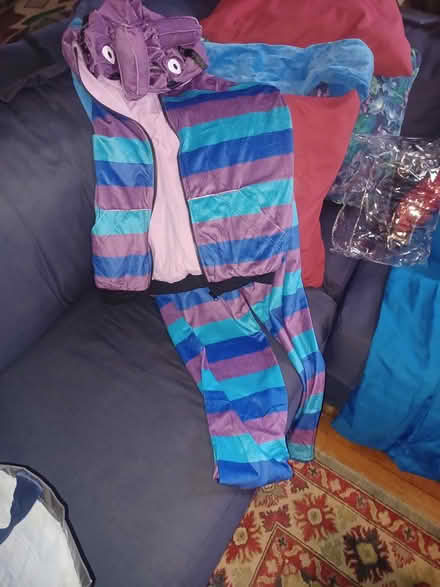 Photo of free Halloween costumes (South ozone pk, queens) #4