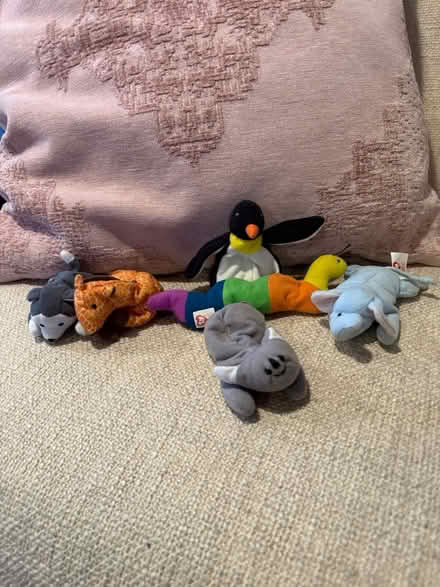 Photo of free Beanie Baby Collection (putnam valley) #2