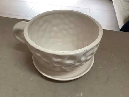Photo of free “Teacup” planter (Hampsthwaite HG3) #1