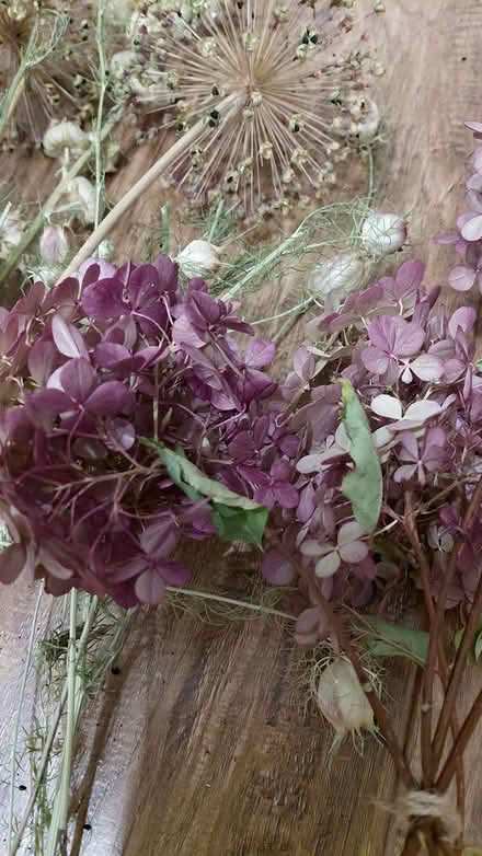 Photo of free Dried flowers (Sheffield S12) #4