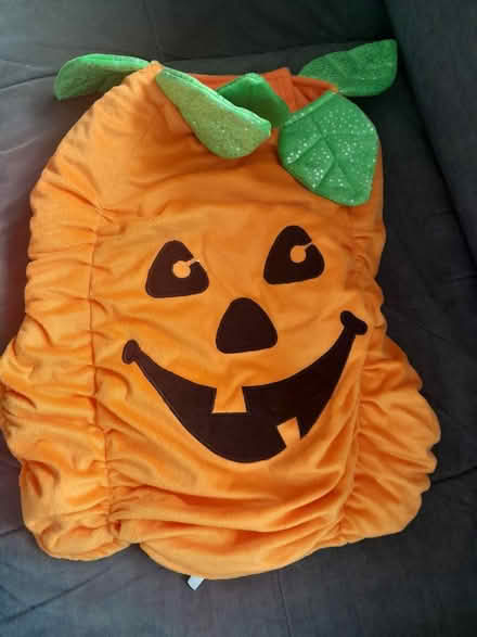 Photo of free Dog pumpkin Halloween costume (Nottingham NG3) #1