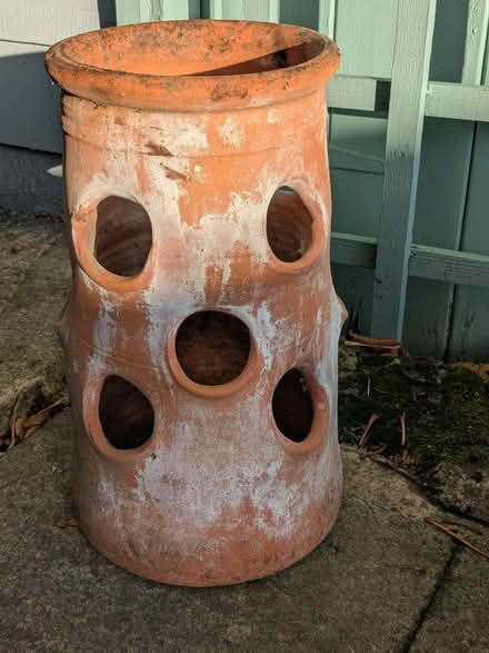 Photo of free Strawberry pot (Ware SG12) #1