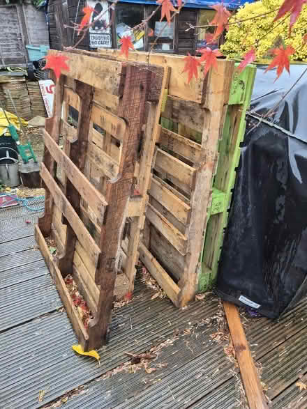 Photo of free 7 Pallets (Caversham Heights RG4) #2