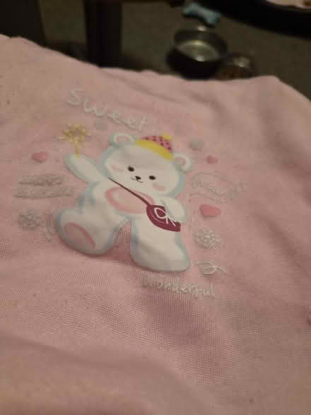 Photo of free doggy hoodie (Little Carleton FY3) #1