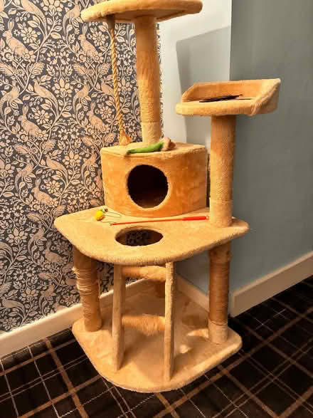 Photo of free Large Sturdy Cat Tower (Tinkersley DE4) #1
