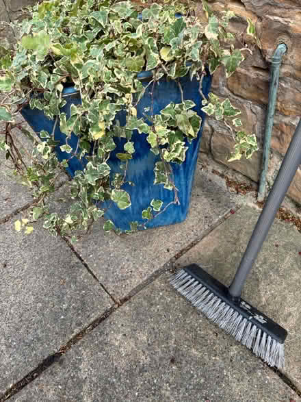 Photo of free Blue pots (Papplewick Nottingham) #1