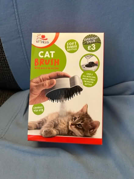Photo of free Cat brush (Jennetts park RG12) #3