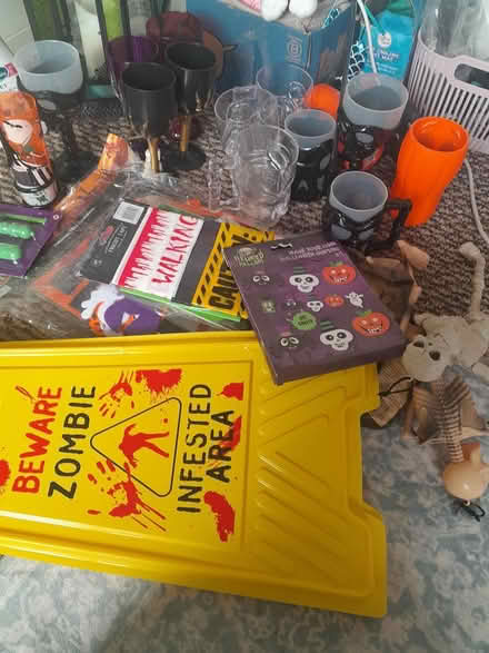 Photo of free Halloween items (Nottingham NG3) #1