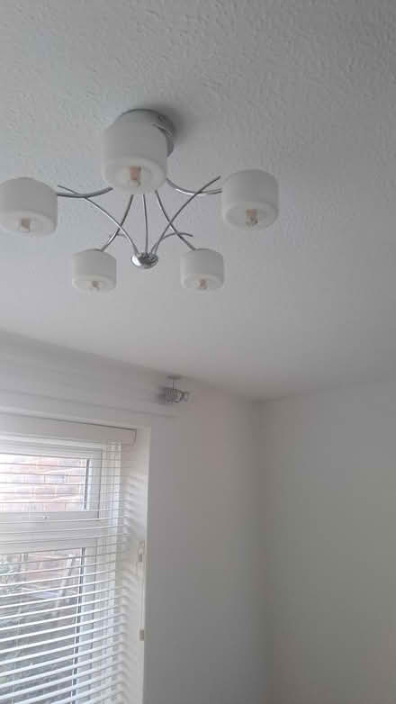 Photo of free 5 branch light (Worthing road) #1
