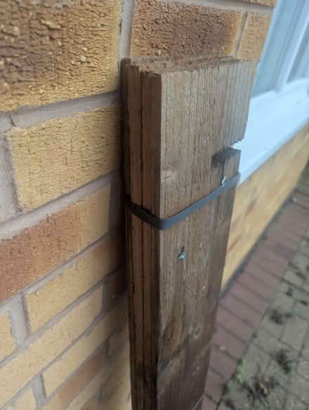 Photo of free 4 planks of wood - never used (Bingham NG13) #2