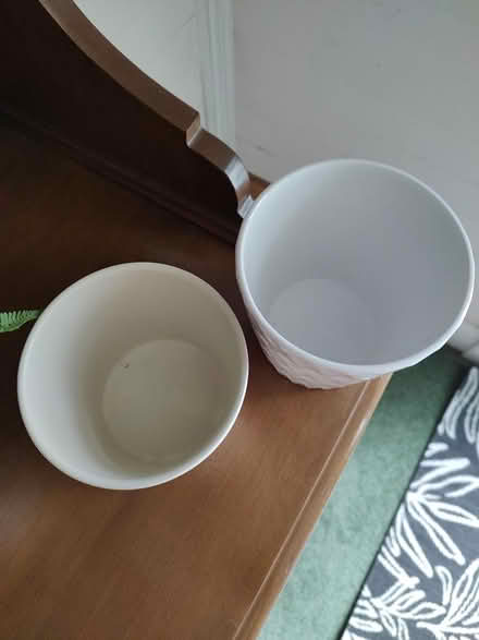 Photo of free 4 in diameter plant pots (Odenton) #2