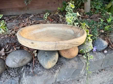 Photo of free Bird bath (Glenview, Oakland) #1