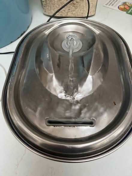 Photo of free Cat water fountain (Dundrum) #1