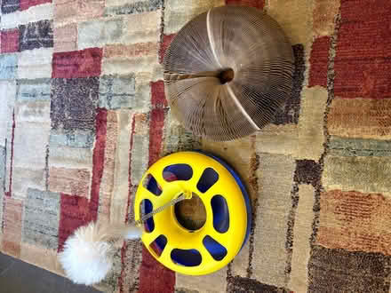 Photo of free Cat toys (Glenrothes KY7) #1