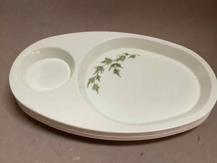 Photo of free 4 X melamine dinner trays (Hampsthwaite HG3) #1