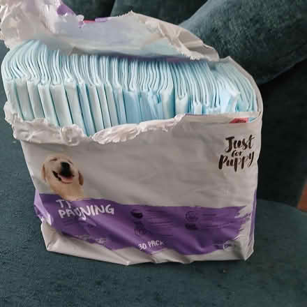 Photo of free puppy pads (Chippenham SN14) #1