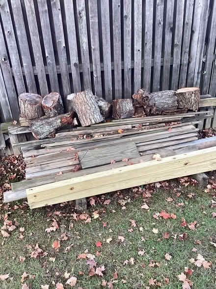 Photo of free Firewood (Allen Pond area of Bowie) #1