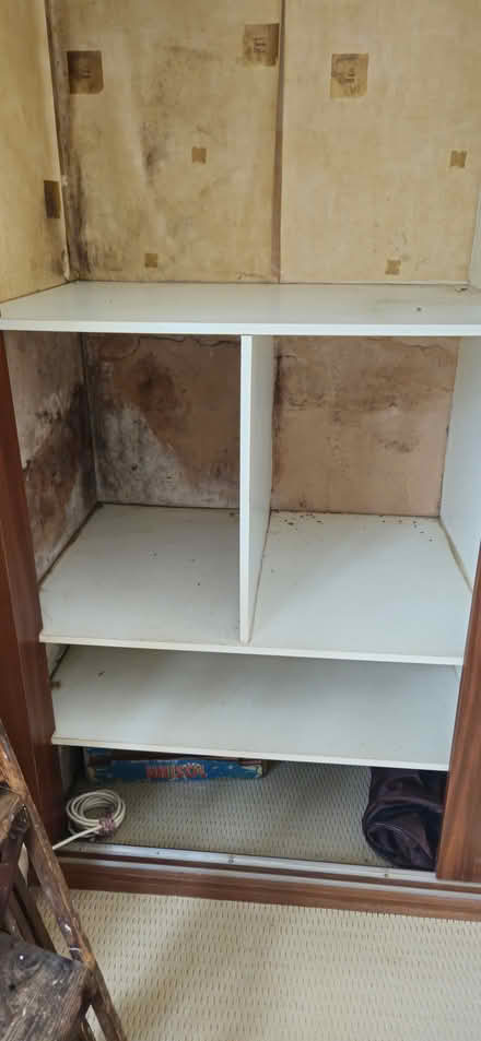 Photo of free Wooden panel and full panel mirror (Birmingham B29) #3