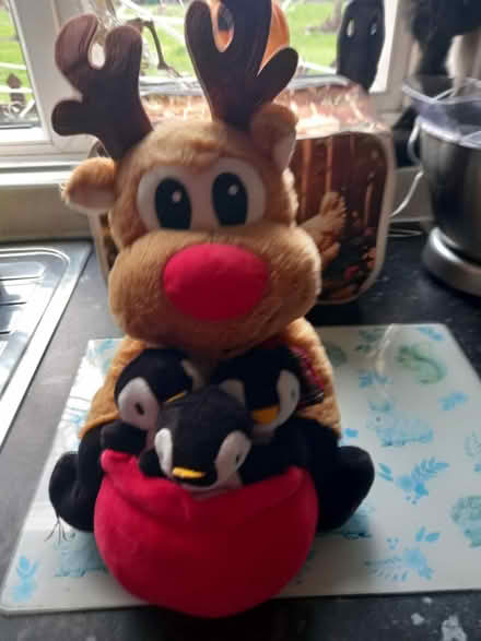 Photo of free Christmas (Loughborough LE11) #1