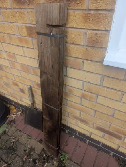 Photo of free 4 planks of wood - never used (Bingham NG13) #4
